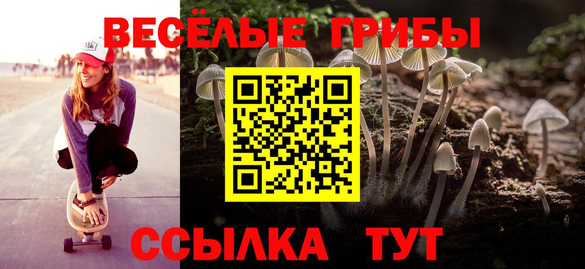 Псилоцибиновые грибы GOLDEN TEACHER  Псилоцибиновые грибы Psilocybine cubensis  Вход с VPN  Междуреченск 