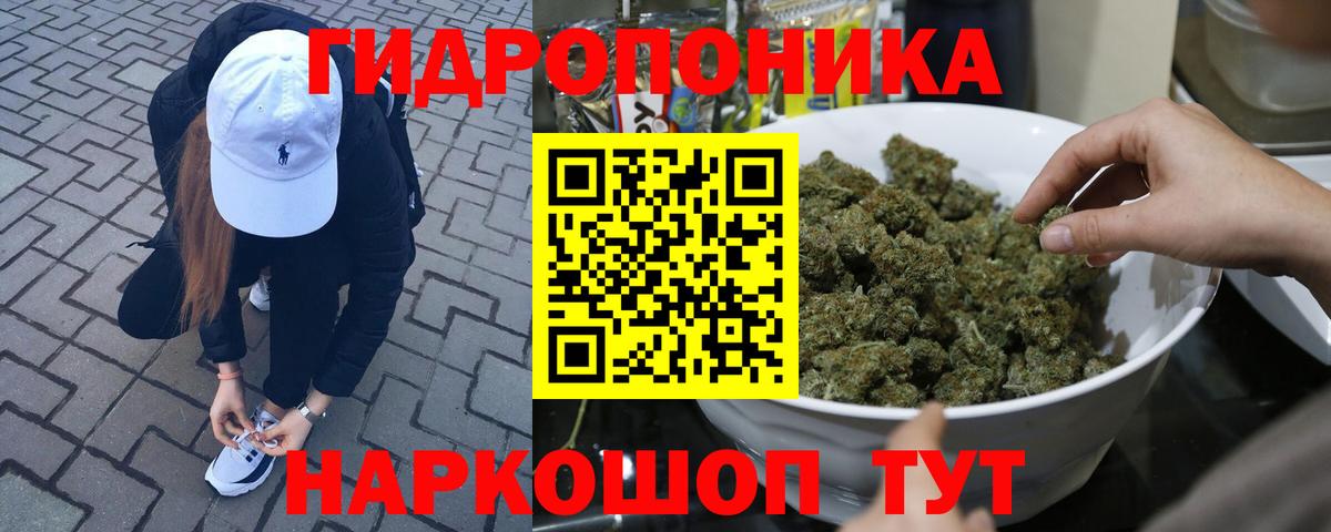 Бошки Шишки планчик  Канабис THC 21%  Вход с VPN  Каннабис Amnesia  Бошки марихуана план  Междуреченск 